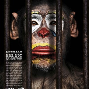1-2-publicidad-agresiva-12 1-2-publicidad-agresiva-12