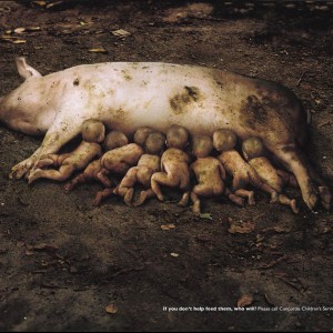 1-2-publicidad-agresiva-18 1-2-publicidad-agresiva-18