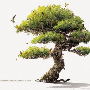 1-2-publicidad-agresiva-50 1-2-publicidad-agresiva-50