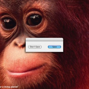 1-2-publicidad-agresiva-53 1-2-publicidad-agresiva-53