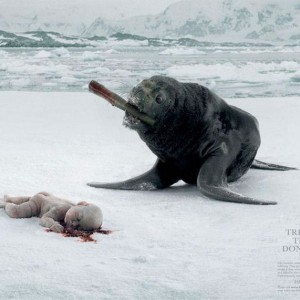 1-2-publicidad-agresiva-70 1-2-publicidad-agresiva-70