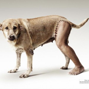 1-2-publicidad-agresiva-84 1-2-publicidad-agresiva-84