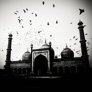 Josef-Hoflehner-Mosque-and-Birds