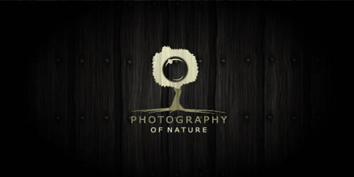 buenos-logotipos-de-inspiracion-y-calidad-Photography-of-Nature buenos-logotipos-de-inspiracion-y-calidad-Photography-of-Nature