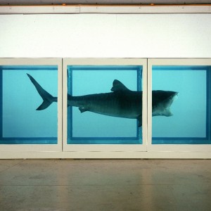 Damien-Hirst-The-Physical-Impossibility-of-Deat Damien Hirst arte burbuja
