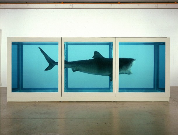 Damien Hirst arte burbuja
