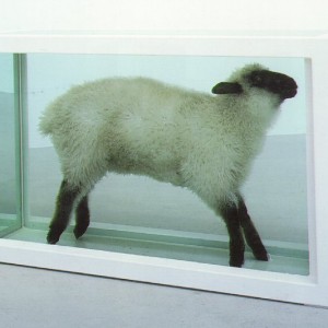 Damien-hirst-flock-oveja Damien Hirst arte burbuja