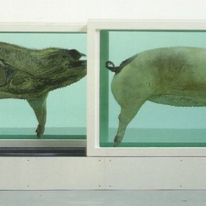 Damien-hirst-piggy Damien Hirst arte burbuja