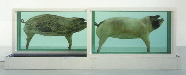 Damien Hirst arte burbuja