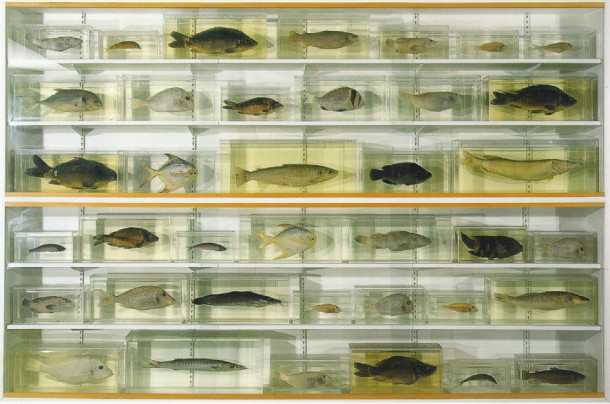 Damien Hirst arte burbuja
