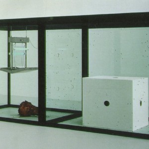 Damien-hirst-thousand Damien Hirst arte burbuja