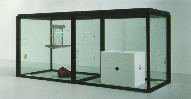 Damien Hirst arte burbuja