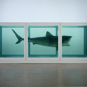 Damien-hirst-tiburon Damien Hirst Tiburón en formol