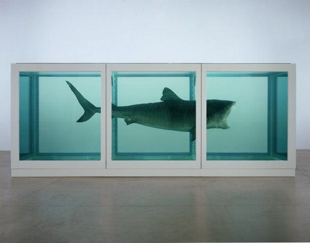 Damien Hirst Tiburón en formol