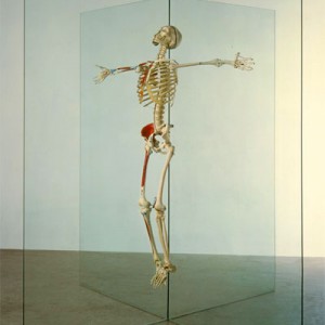 damien-hirst-art Damien Hirst arte burbuja
