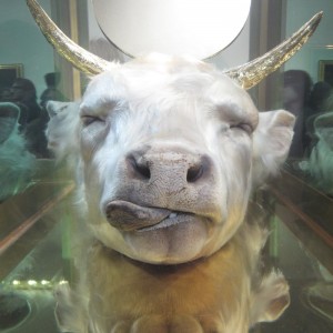 damien-hirst-end-of-an-era-cow-vaca Damien Hirst arte burbuja