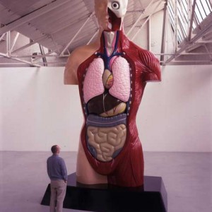 damien-hirst.cuerpo-humano Damien Hirst arte burbuja