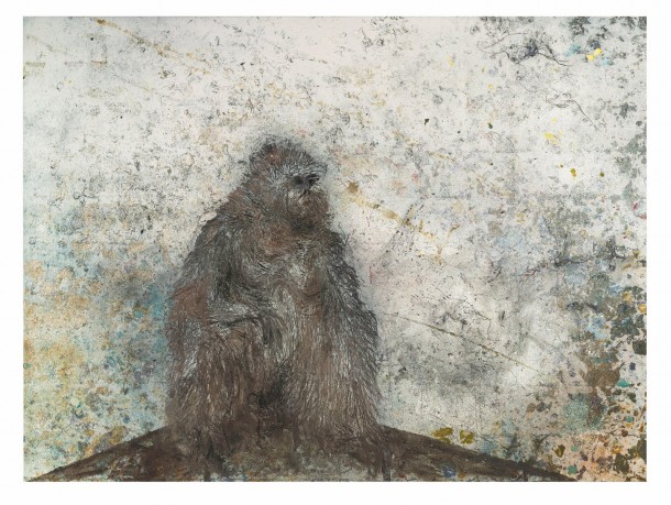 Miquel Barceló arte