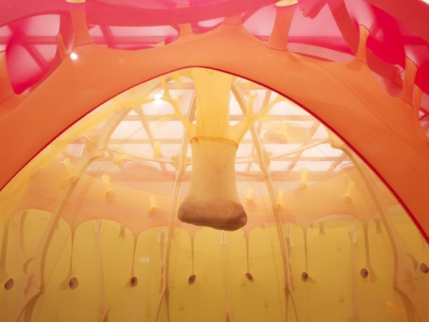 Ernesto Neto Arte