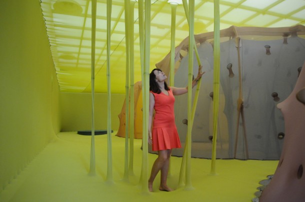 Ernesto Neto Arte