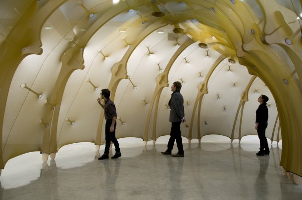 Ernesto Neto Arte