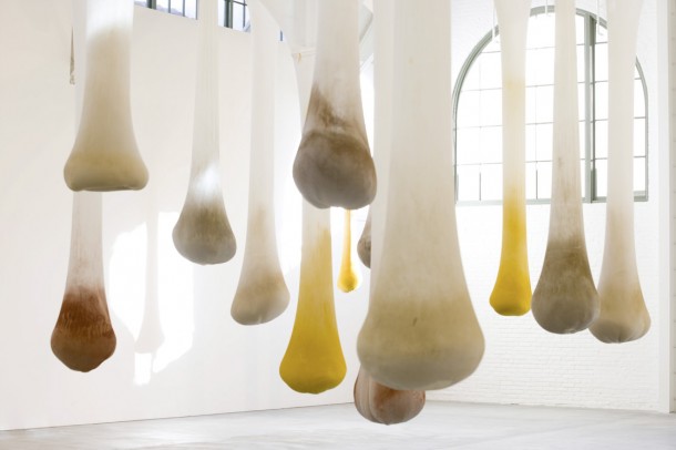 Ernesto Neto Arte