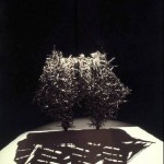 fukuda-sombras fukuda-sombras