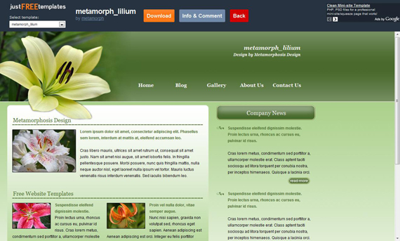 Plantilla web gratis